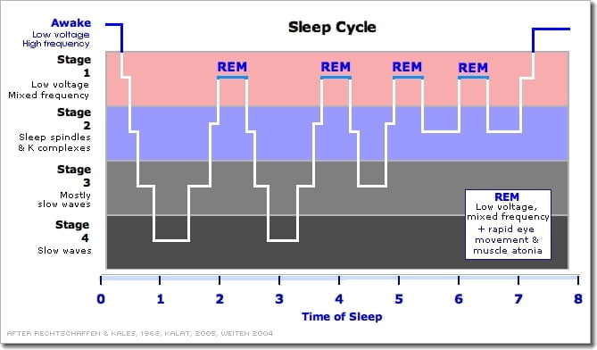 sleep cycle